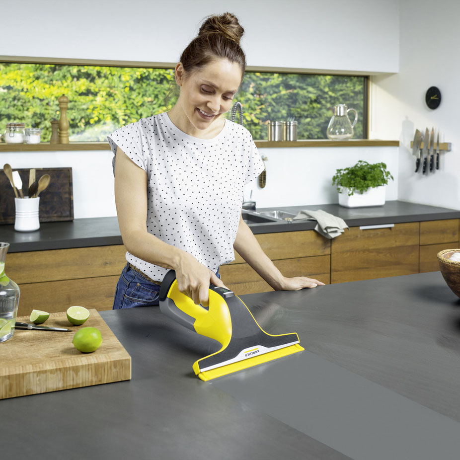 Máy lau kính Karcher WV 6 Plus