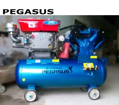 Máy nén khí đầu nổ chạy bằng xăng Pegasus TM-V-0.25/8-100L