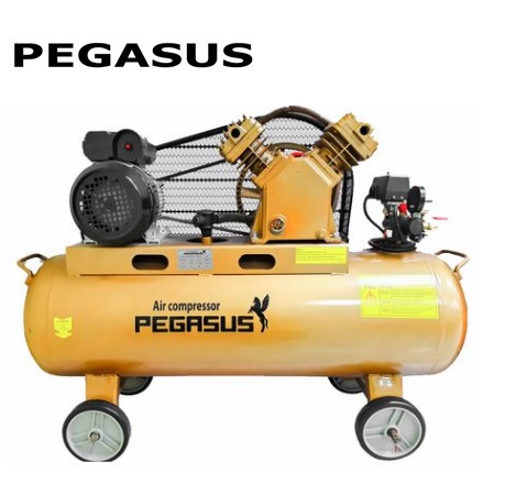 Máy nén khí dây đai Pegasus TM-W-0.9/8-330L