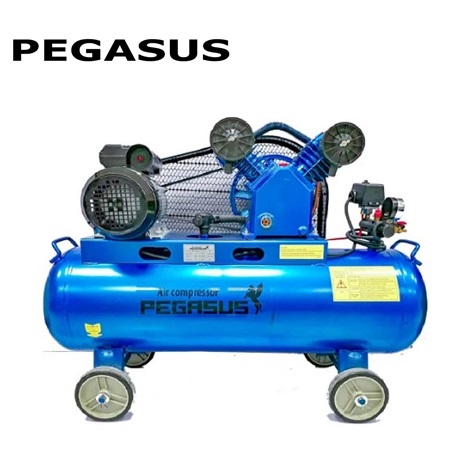 Máy nén khí dây đai Pegasus TM-W-0.36/12.5-120L