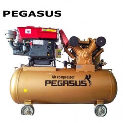 Máy nén khí đầu nổ chạy bằng dầu Diesel Pegasus TM-W-2.0/12.5-500L